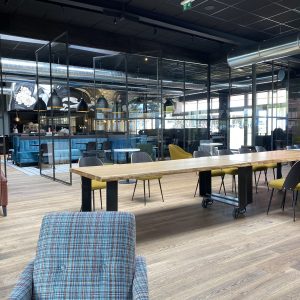 verrière portes pivotantes 2m x h=3m verrière portes pivotantes 2m h=3m